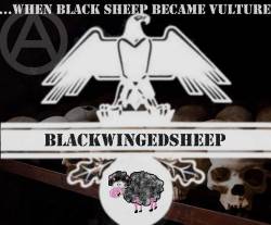 Blackwingedsheep : ... When the BlackSheep Become Vulture